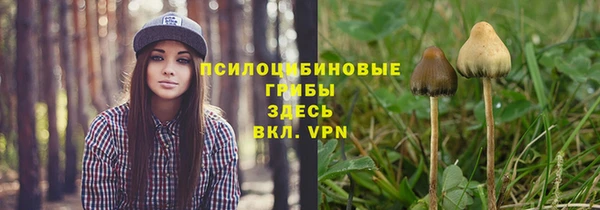2c-b Армянск